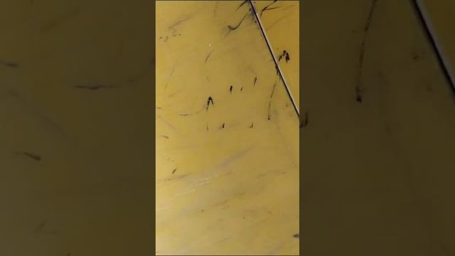 ПОБЕГ ОТ МОНСТРОВ НА ДЕТСКОЙ ПЛОЩАДКЕ ЧАСТЬ 2 | РЕАЛЬНАЯ ЖИЗНЬ смотреть онлайн