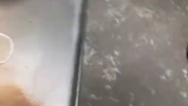 Измельчение Скорлупы грецкого Ореха WF Материал на Выходе смотреть онлайн