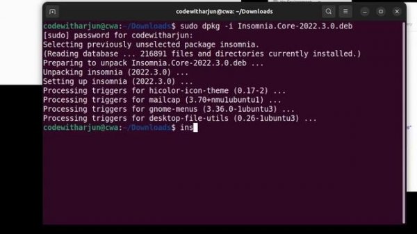 Install Insomnia on Ubuntu Operating system 22.04 LTS for Testing API
