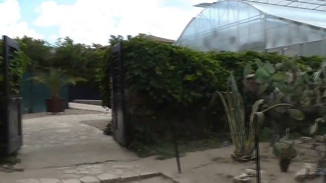 Отдых в Болгарии / Балчик, ботанический сад смотреть онлайн