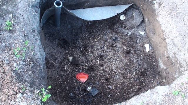 Посадка винограда из контейнеров в открытый грунт 29 06 2014 смотреть онлайн