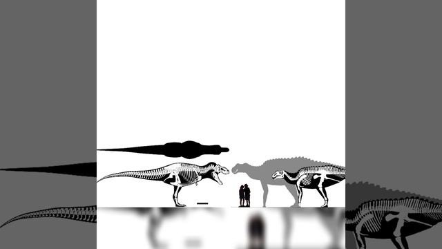 Tyrannosaurus Rex And Gryposaurus Size Comparison смотреть онлайн