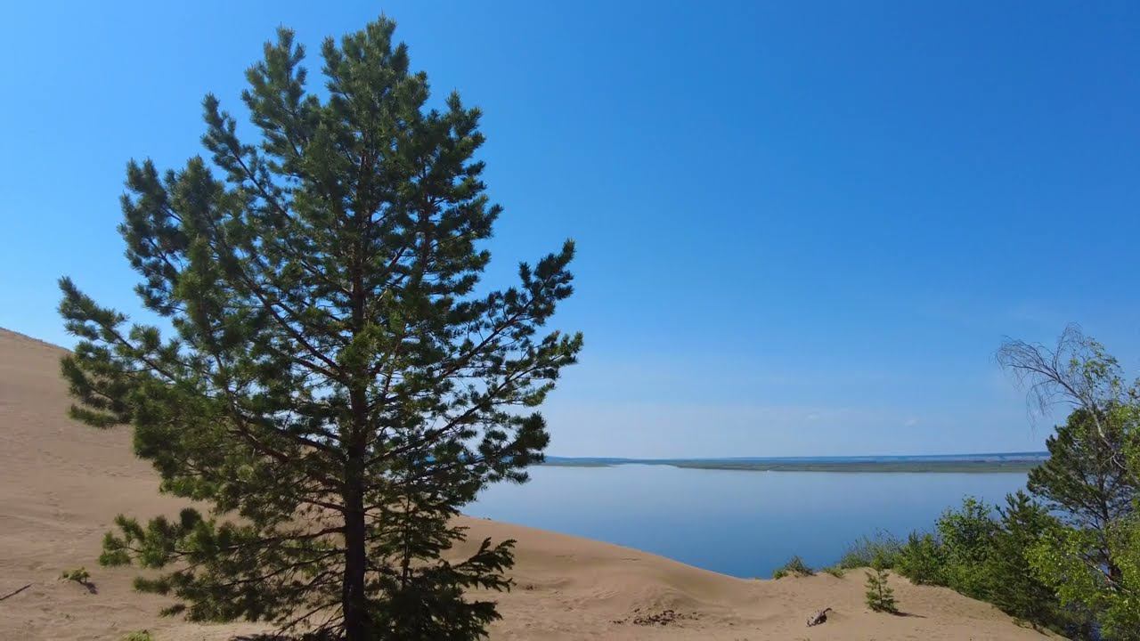 Лена. Первые весточки. смотреть онлайн