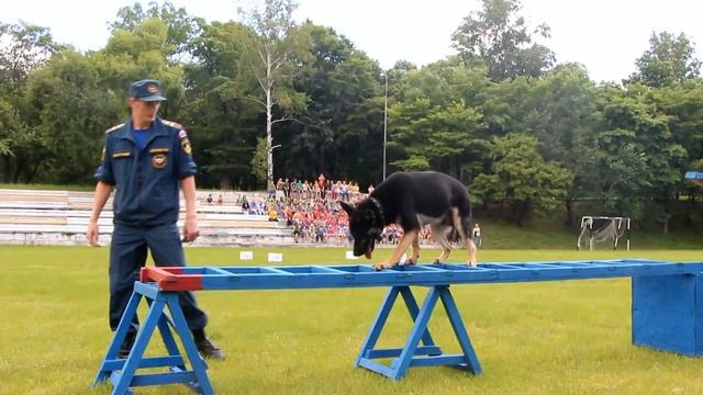 Ролик о посещении детского лагеря Энергетик 29 07 15г