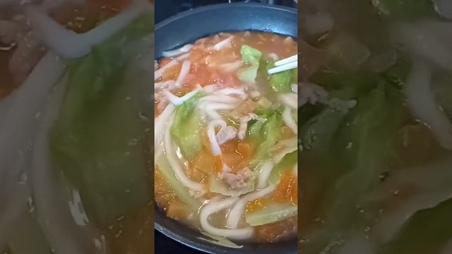 Udon In Tomato Soup | MeiLee Vlogs