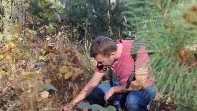 Тихая охота. Золотая осень в лесу смотреть онлайн