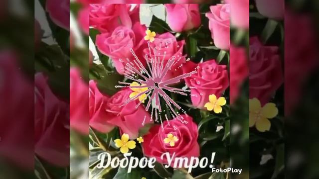 Доброе утро друзья!❤Музыкальная открытка-ролик.🌹🌹🌹 #настроение #цветы смотреть онлайн