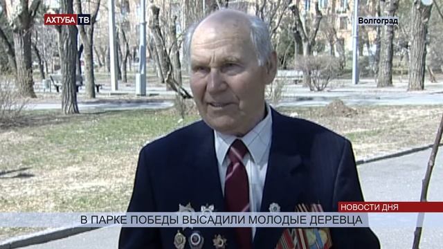 Школьники посадили в Волгограде деревья во имя любви, жизни и вечности смотреть онлайн