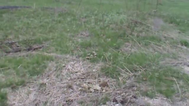 Коп кормушки у сараев смотреть онлайн