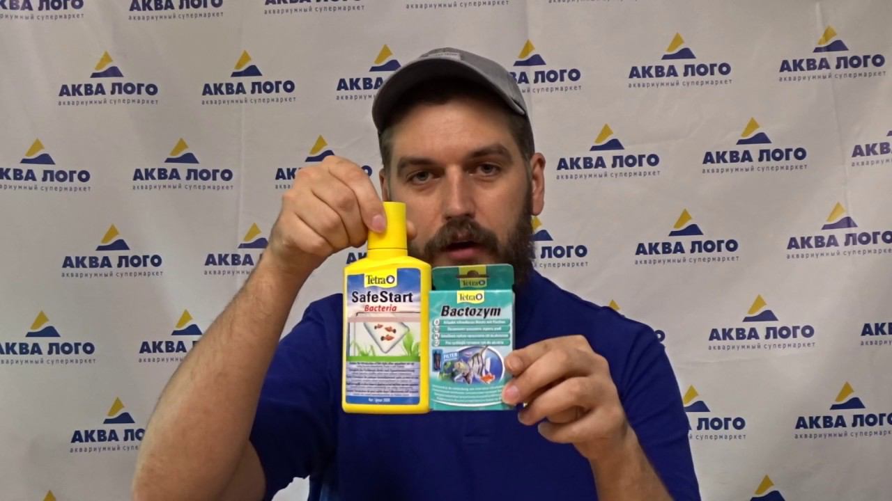 "О чем говорят бактерии" смотреть онлайн