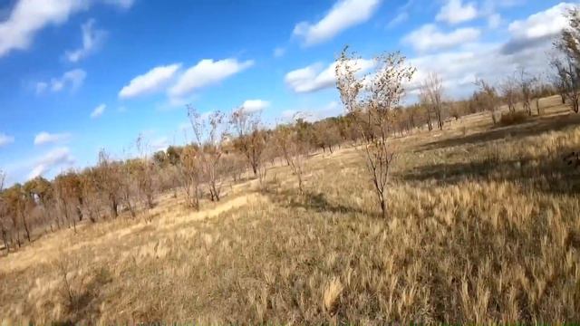 ЧЕРНОТРОП! ОХОТА НА ЗАЙЦА 2019! смотреть онлайн