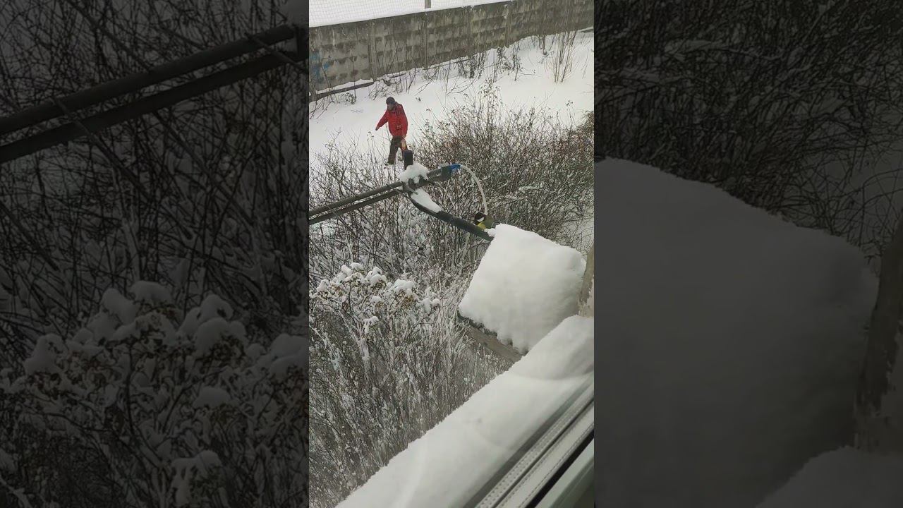 Им зимой тяжело, надо выручать. смотреть онлайн