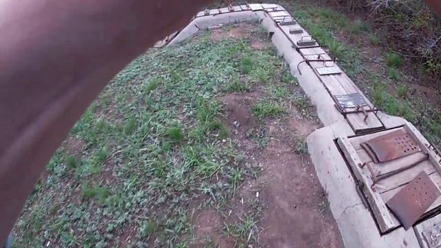 Испытания ягдтерьера по барсуку. Щенки ягдтерьера приём заявок.#ягдтерьер по барсуку смотреть онлайн