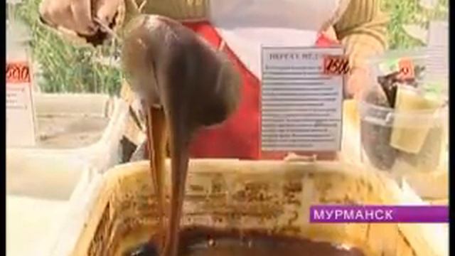 Заполярная осень 2010 В Ледовом дворце Мурманска открылась выставка смотреть онлайн