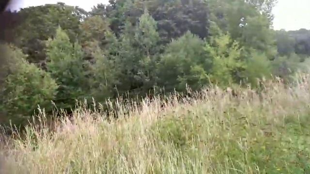 Экотропа Западный Котлин смотреть онлайн