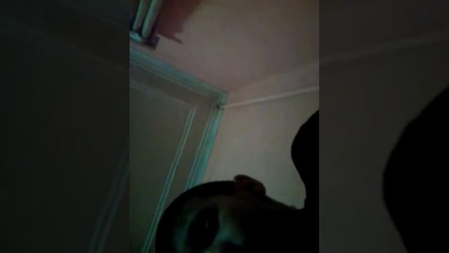 Видео на xbox 360 с Владом или нет смотреть онлайн