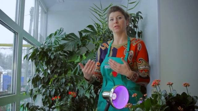 Поговорим о комнатных растениях смотреть онлайн