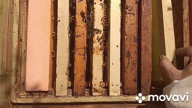 6 мая.Карника.Подставил уникальную мембрану.Испытание.Усиливаю отводок.