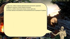 Divinity Original Sin 2: Definitive Edition. Рыцарь-полиморф. Соло билд + советы