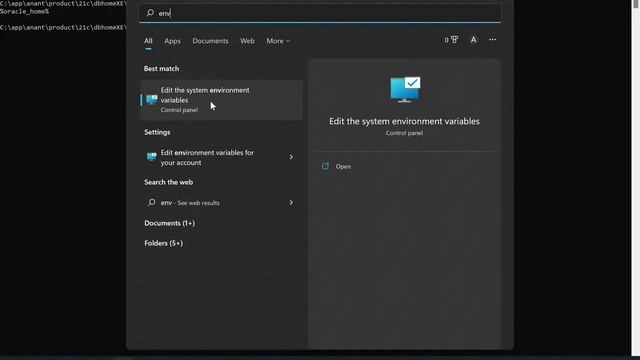 Add Oracle Home and SQL Plus to environment variables смотреть онлайн
