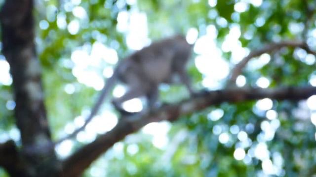 MG little Ariana look scary hard e-scape cos her daddy Aron playing strange смотреть онлайн