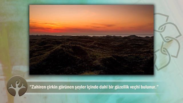 Güzel Gören Güzel Düşünür | Gaybubet Sohbetleri 8 | M. Fethullah Gülen смотреть онлайн