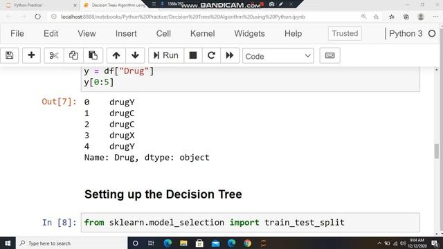 Decision Trees Algorithm using Python смотреть онлайн