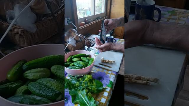 малосольные огурчики по кульковски. смотреть онлайн