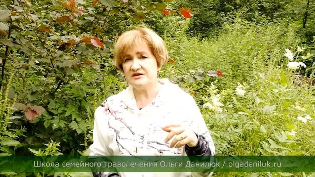 Универсальная Таволга смотреть онлайн