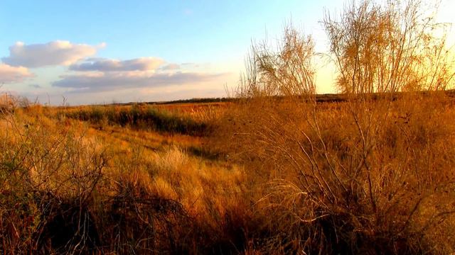 Закат солнца в дельте реки Или смотреть онлайн