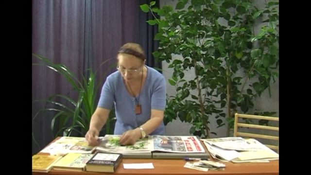Закладка гербария смотреть онлайн