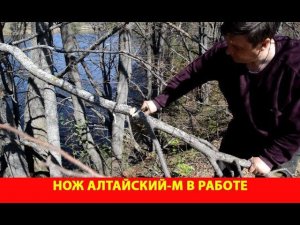 Нож «Алтайский-М» в работе.