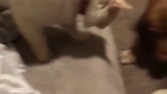 дурацкий челлендж смотреть онлайн