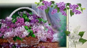 Хмельная сирень. Юрий Антонов.