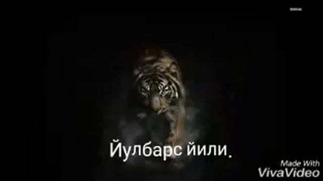 Йулбарс йли смотреть онлайн