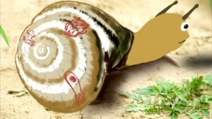 Майский жук - развивающее видео ДЛЯ ДЕТЕЙ, возрастной рейтинг 0+