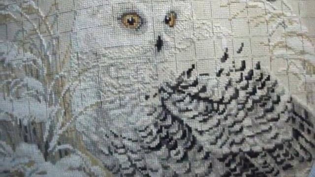 "Белая сова". Отчет предпоследний. смотреть онлайн