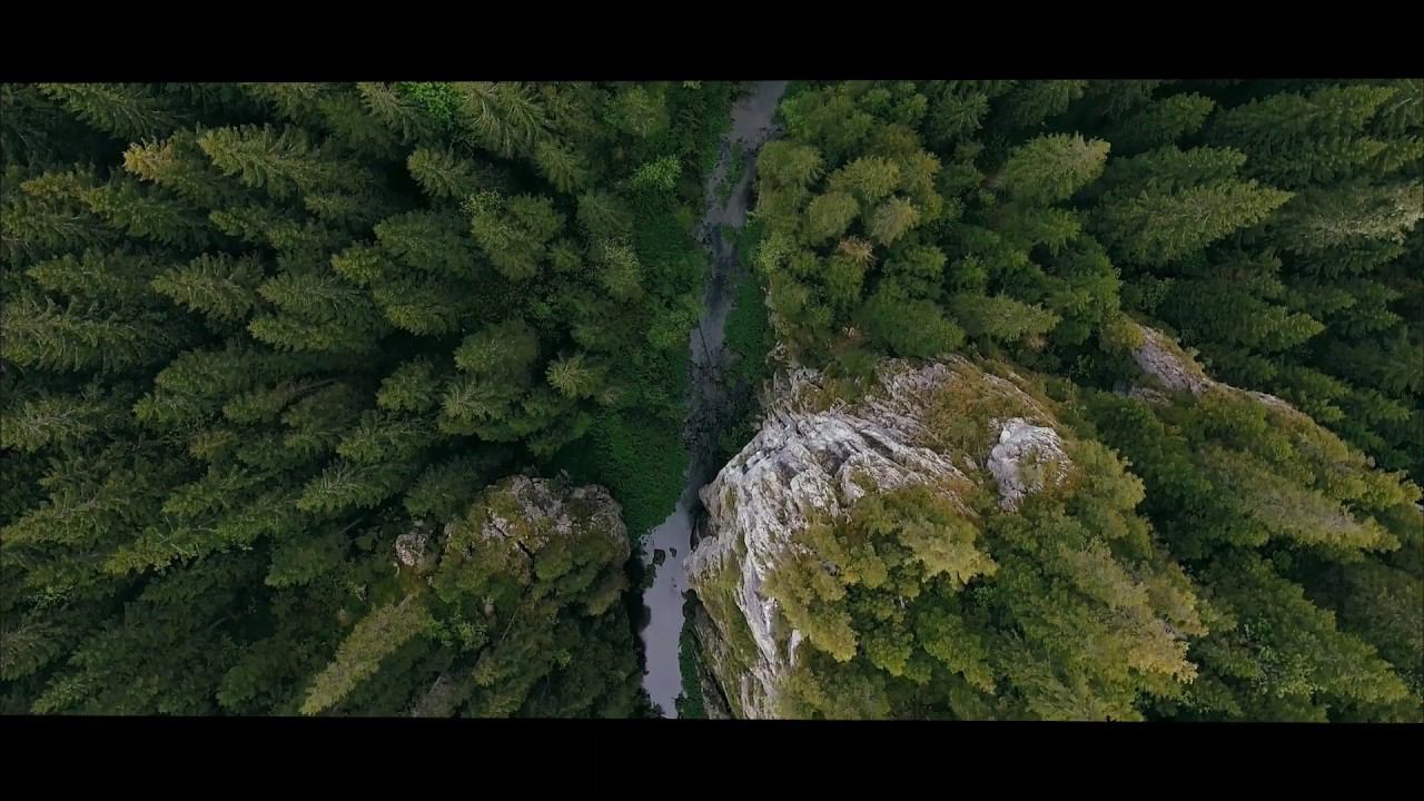 European Convention 2019 Bucharest смотреть онлайн