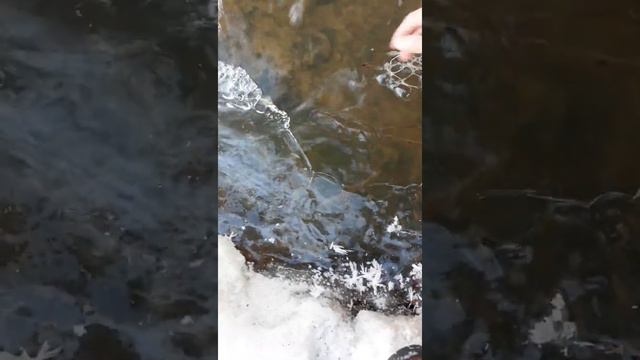 Течение реки зимой 🌊 River flow in winter. смотреть онлайн