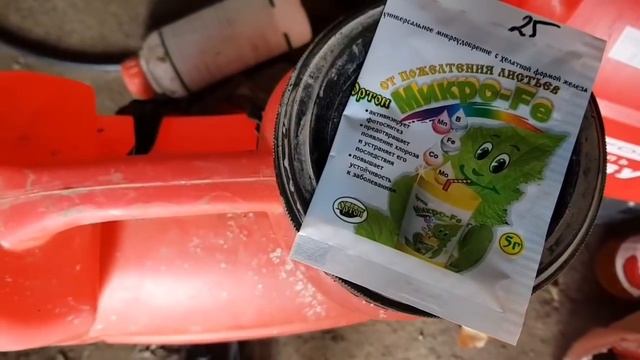 Пожелтевшие листья огурца. Причина и устранение. Подарок от подписчика. Выглянуло солнышко. Доченьк смотреть онлайн