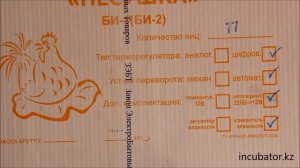 Инкубатор Несушка на 77 яиц