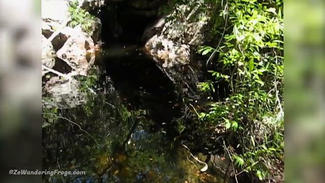 Darwin to Kakadu National Park Australia: 4-Day Itinerary Travel Guide смотреть онлайн