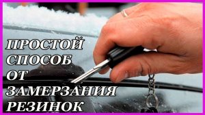 ПРОСТОЙ и ДЕШЁВЫЙ способ  ИЗБАВИТЬСЯ от примерзания резинок дверей в АВТО