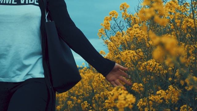 2.7k Rapeseed Field Cinematic | Sony A6300 Kit Lens | DJI Mavic Pro смотреть онлайн