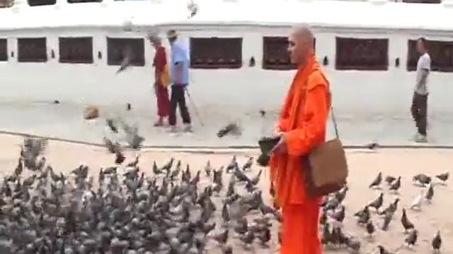 Айшварья Нандана Гири кормит голубей около ступы смотреть онлайн