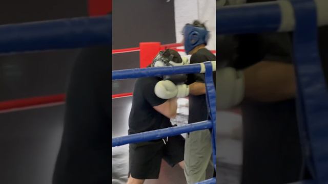 Boxing time #boxing #бокс #тренировка #тайскийбокс #кикбокс #тренировка смотреть онлайн