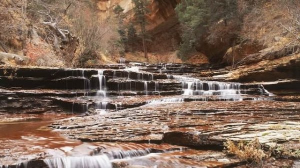 Grigory Sokolov - Bach - Goldberg Variations, BWV 988