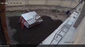 Посадка газона на песчано глиняную почву