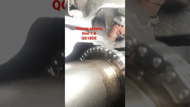 Метки ГРМ наNissan Almera Tino 1.8 двигатель QG18DE смотреть онлайн