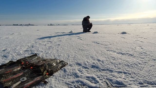 Дикий жор корюшки на Шпунтах. смотреть онлайн